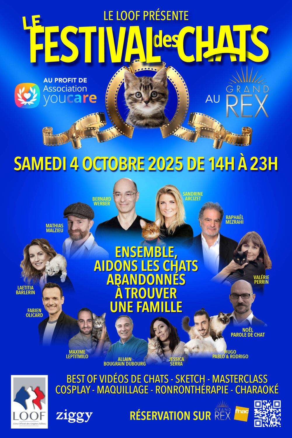 affiche-festival-des-chats-2025