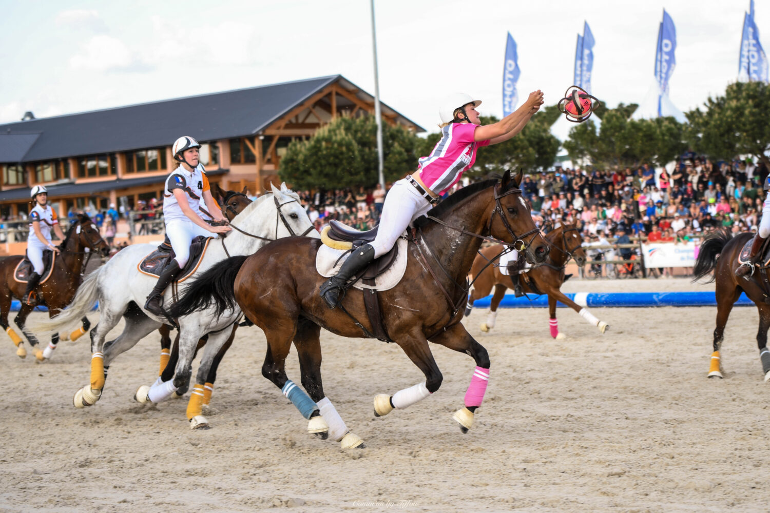 J-10 avant le Grand Tournoi : zoom sur le horse-ball, discipline emblématique de l’événement