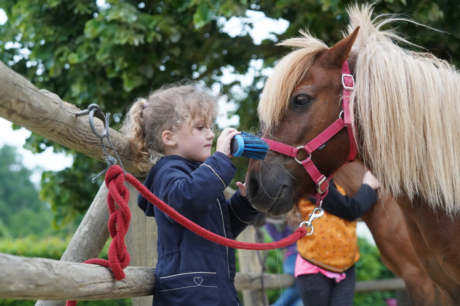 Poney école : intégrer l’équitation dans le parcours scolaire des élèves