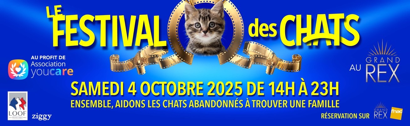 Le LOOF et 12 personnalités se mobilisent pour créer le 1er Festival des Chats au profit de YouCare, le samedi 4 octobre  2025 au Grand Rex.