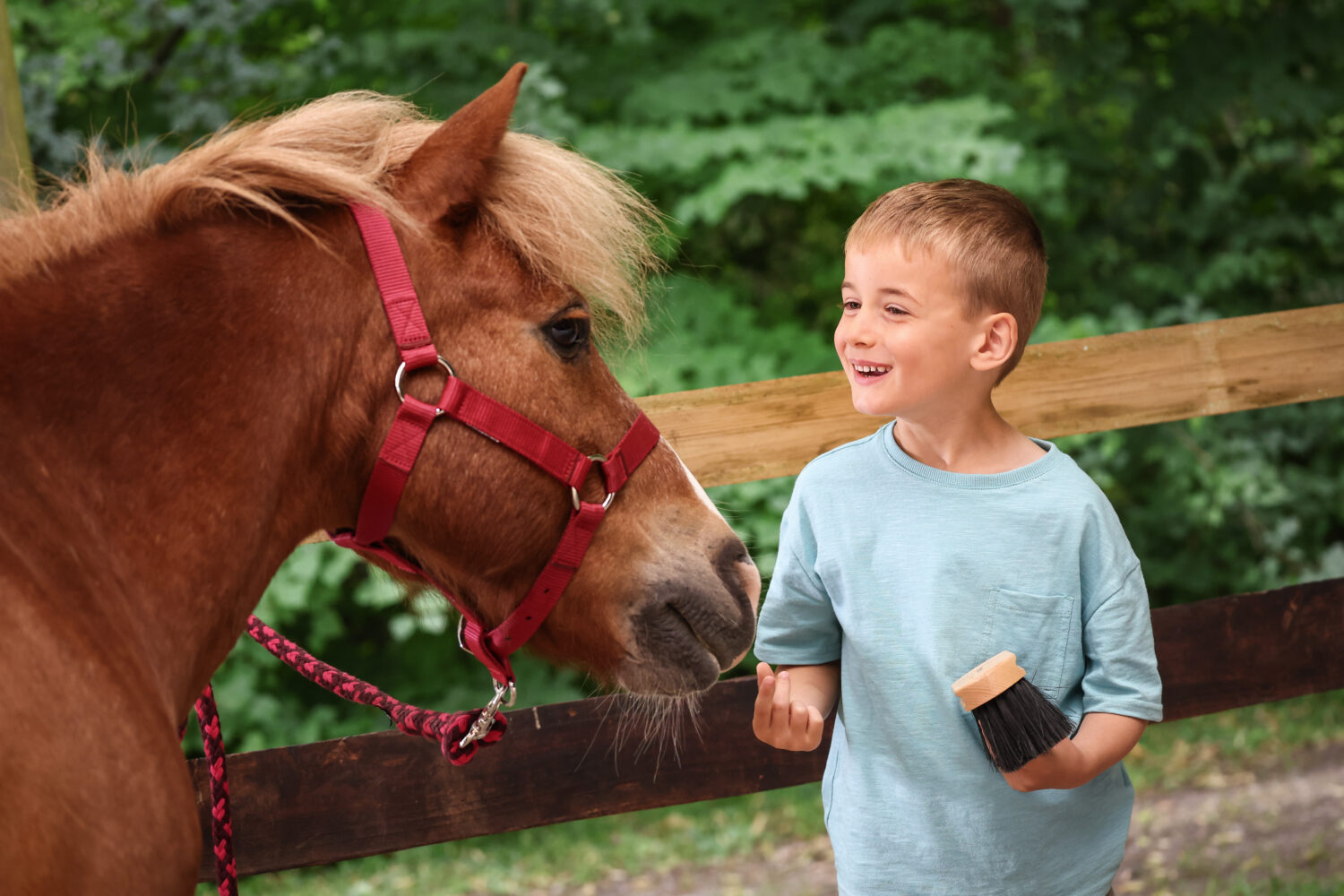 L’activité physique pour sauver la nouvelle génération : l’équitation, un sport qui répond aux enjeux de santé publique