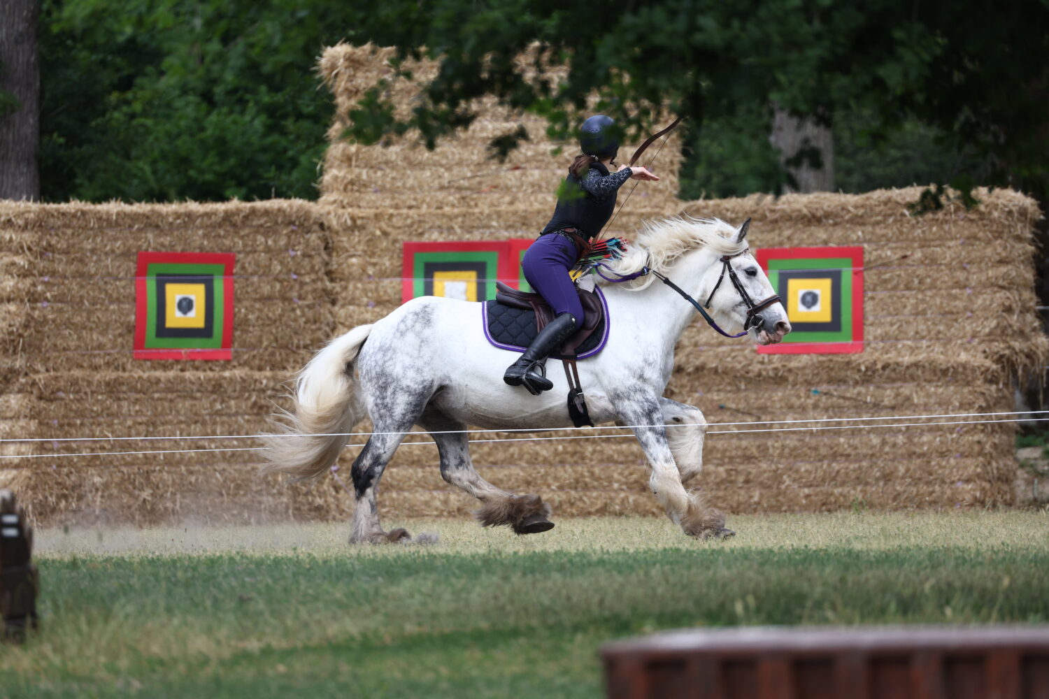 chasse-tir-a-l-arc-a-cheval-FFE-PSV-JPG