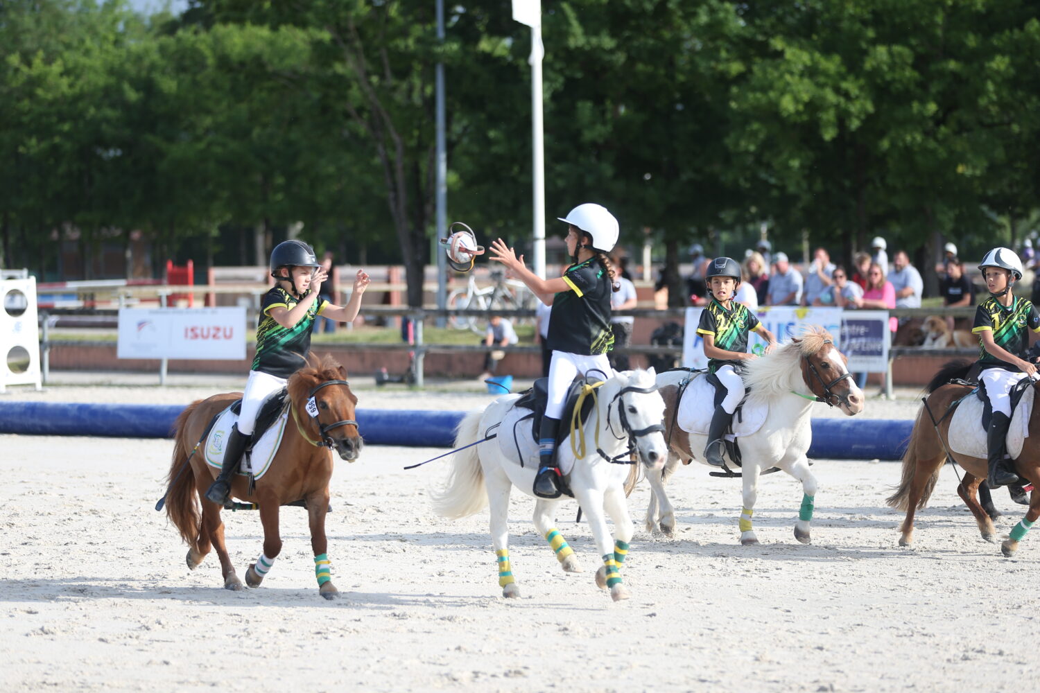 horse-ball-duo-FFE-PSV-JPG
