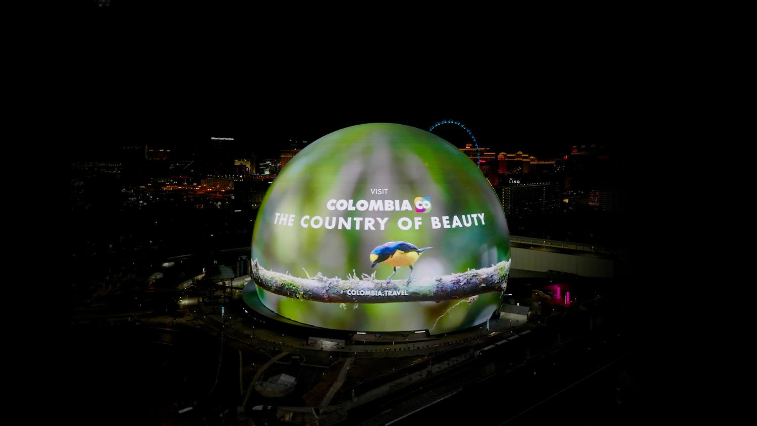 Colombia competirá en Cannes Lions 2025 con dos campañas lideradas por ProColombia