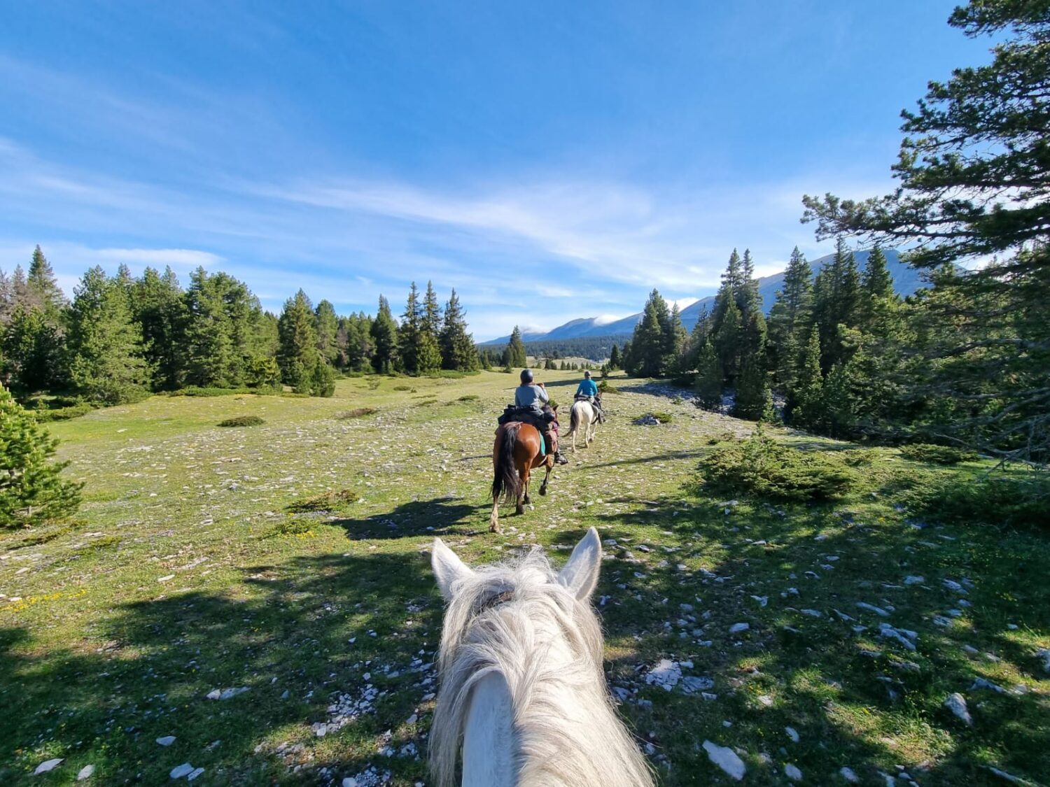 Cet été, cap sur les vacances à cheval, en France et à l’étranger : une autre idée du voyage