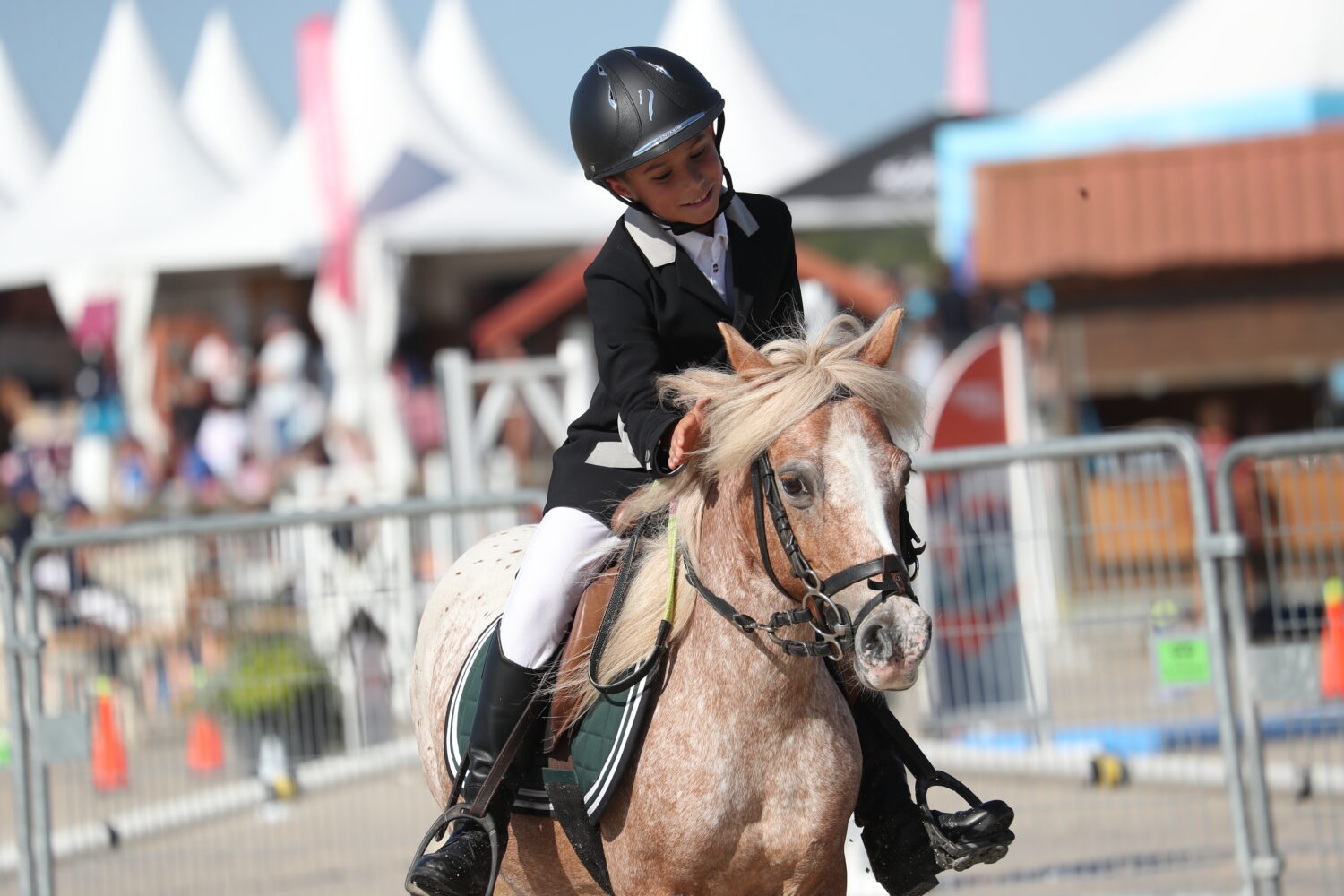 complicite-poney