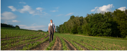La commission de l’agriculture définit ses priorités pour le financement de la PAC après 2027