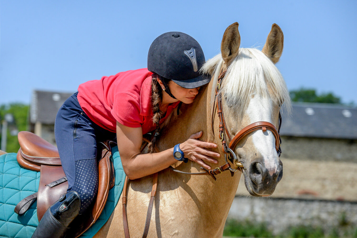 La Fédération Française d’Équitation salue la création de la Journée mondiale du cheval par l’ONU