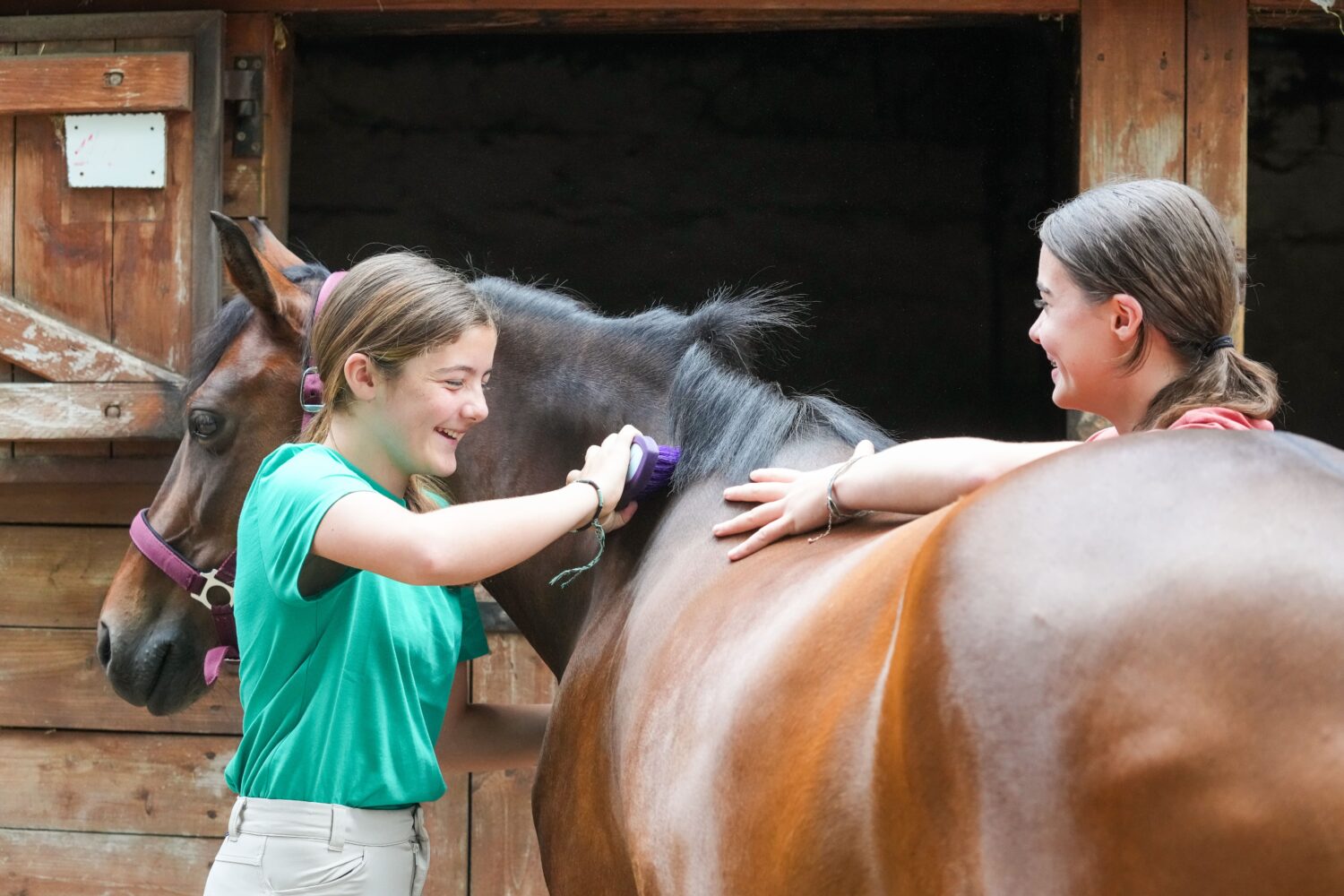 pansage-au-poney-club-FFE-N-Hodys