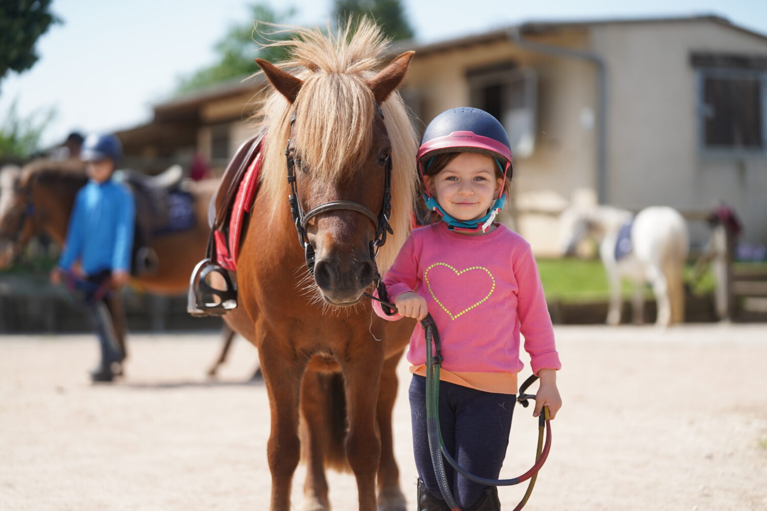 Journée du cheval 2025 : J-10 avant de découvrir l’équitation et en faire son activité dès la rentrée