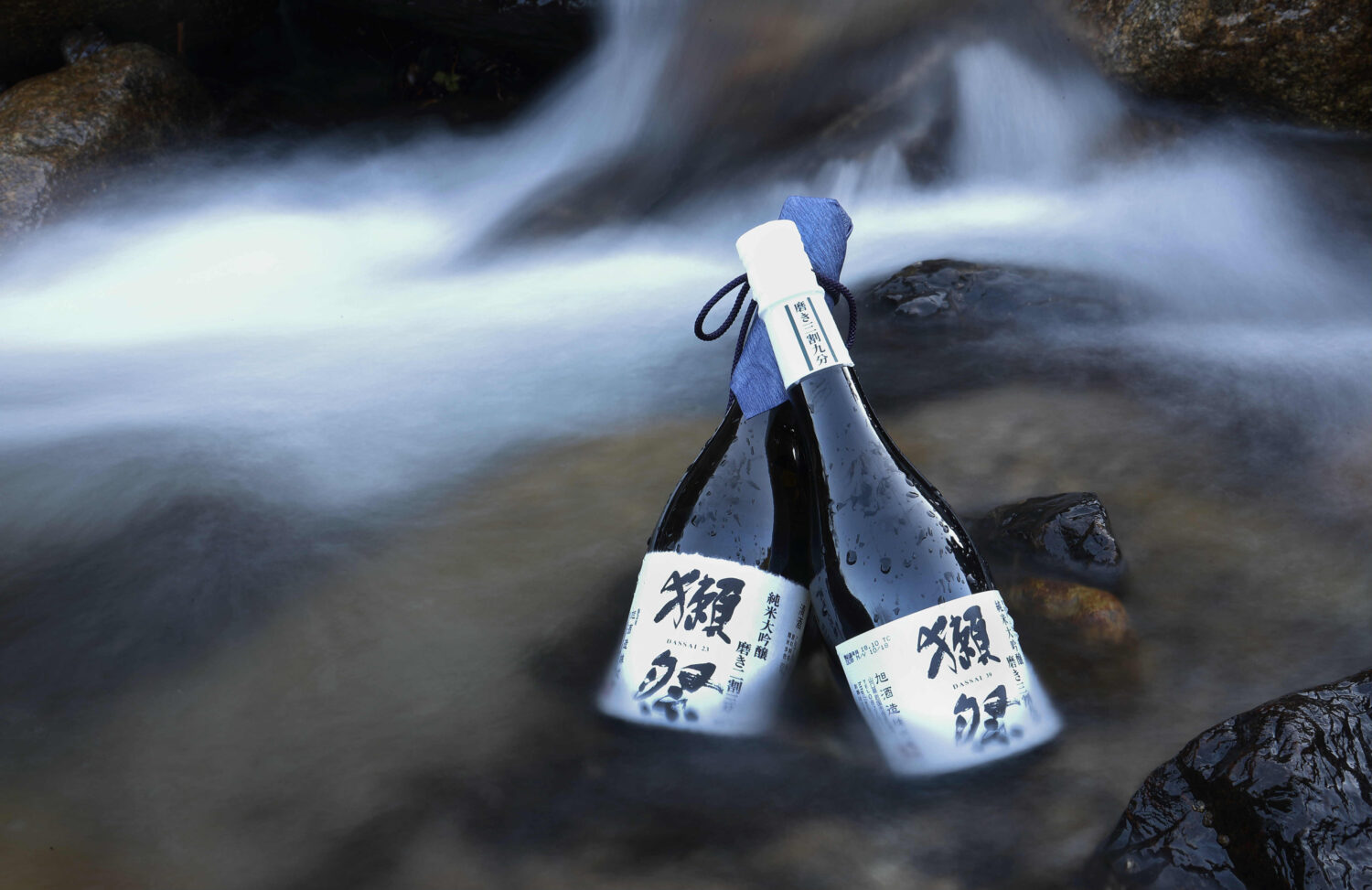 Bringing Japanese Sake to Southeast Asia  - The Shared Future of Asia and Japan