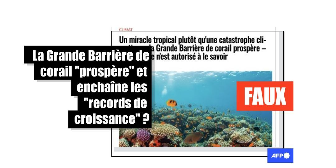 [FACT-CHECK] La Grande Barrière de corail ne « prospère » pas, elle subit son plus large blanchissement jamais observé