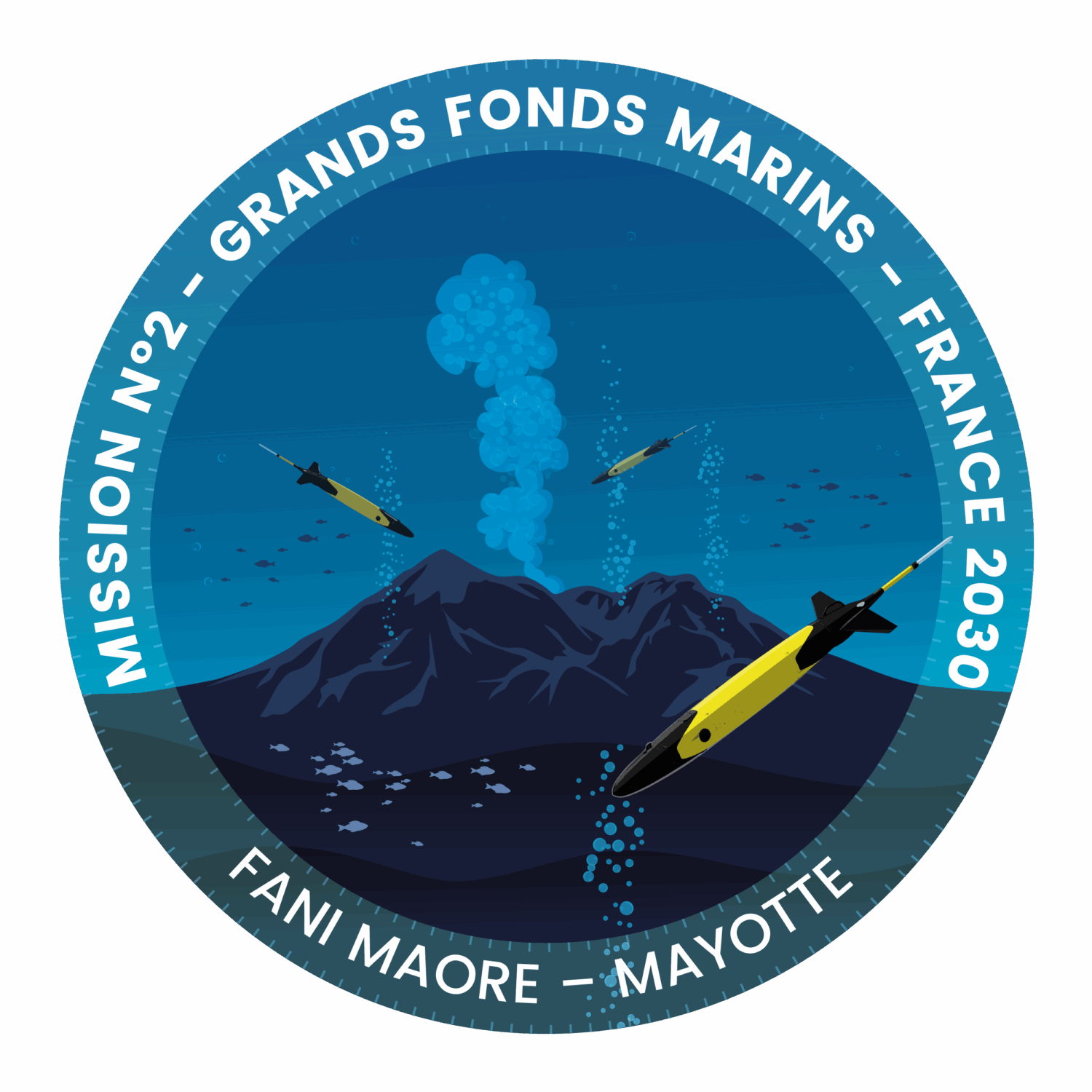 France 2030 : l’Ifremer confie à ALSEAMAR la conception d’un planeur sous-marin capable d’explorer l’Océan jusqu’à 3500 m de profondeur