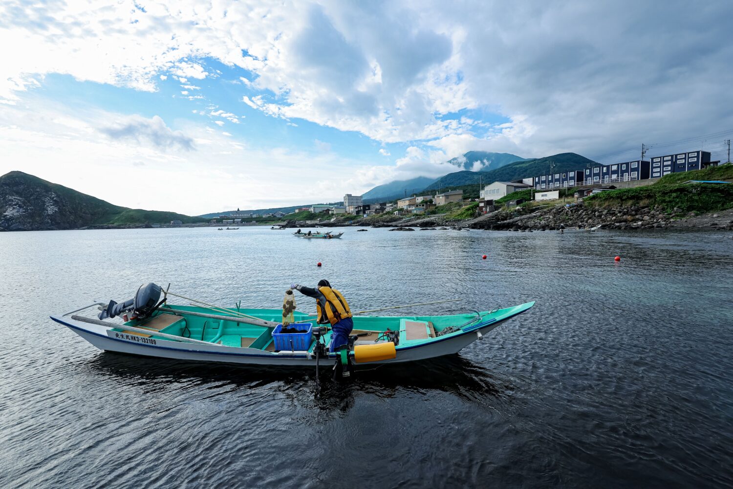Sea urchin boat