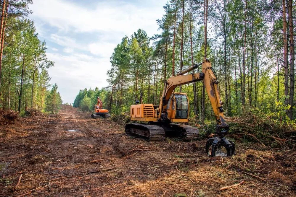 Déforestation : le Parlement opte pour le report et la simplification