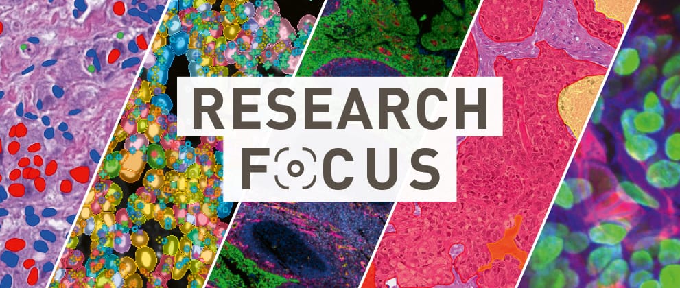 Research Focus: Three Other Advances to Watch