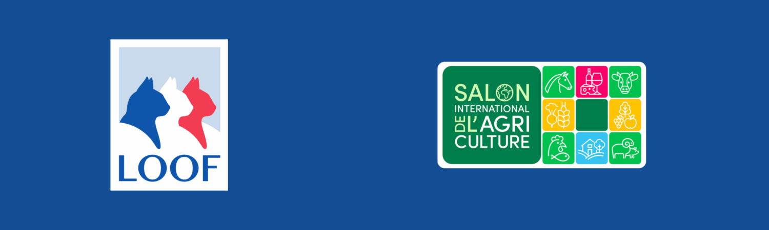 LES CHATS DE RACES AU SALON DE L’AGRICULTURE 2026