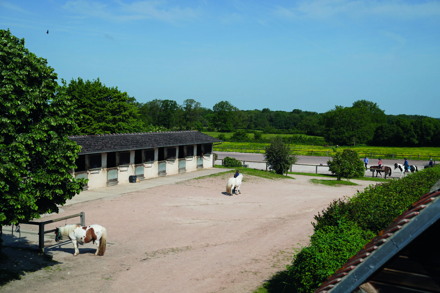 La Fédération Française d’Équitation publie un Livre Blanc pour sensibiliser les candidats aux élections municipales aux enjeux de l’équitation dans les territoires