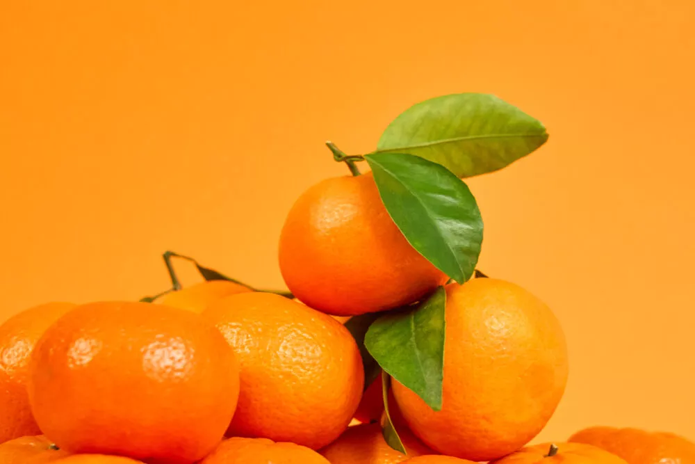 ORRI invite la presse à Bordeaux pour un apéro dégustation autour de sa mandarine d’exception