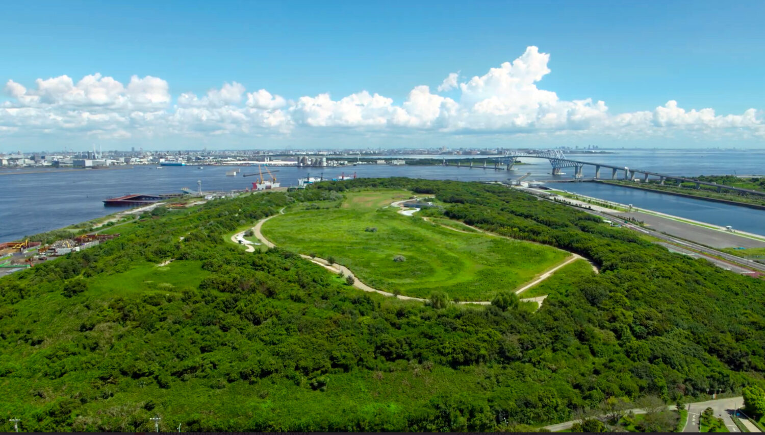 Umi-no-Mori Park: A Transformation from Waste to Forest.