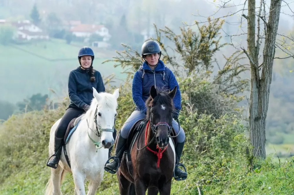 Dept41 - Fedération française d'équitation - 2016 - Monnaies Médailles 17