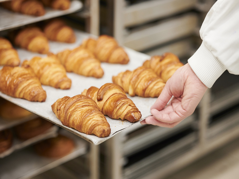 BridorProduction2-jpg