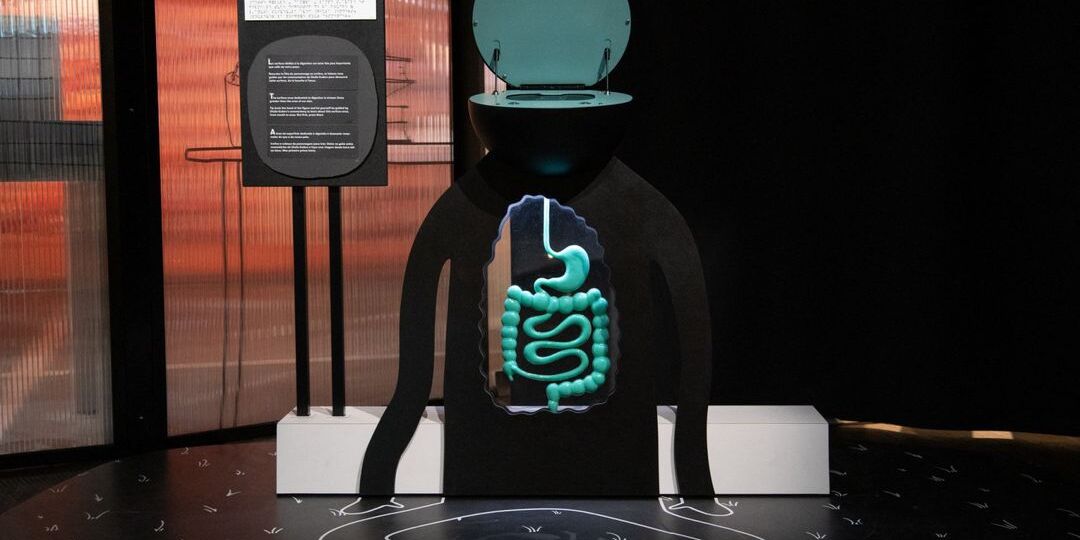 [FACT-CHECK] Analyses, compléments alimentaires : attention à ces informations trompeuses sur le microbiote