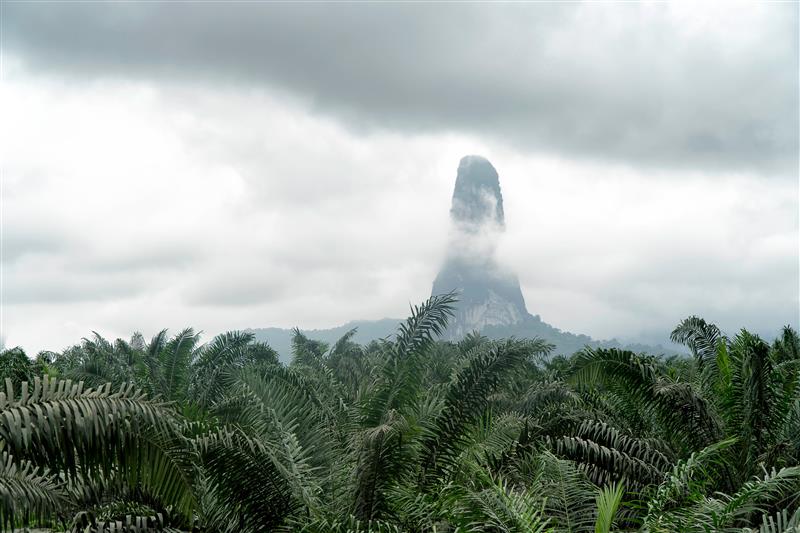 AdobeStock137824194-jpeg