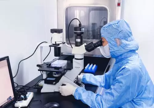 Cloud-Clone soutient une étude révolutionnaire sur le métabolisme cellulaire : un métabolite intestinal stimule la thermogenèse des graisses via le système immunitaire