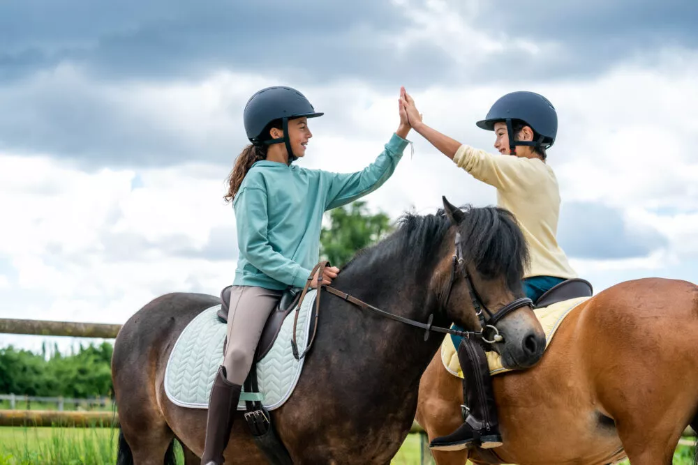 La Fête du poney revient le dimanche 7 juin 2026 partout en France