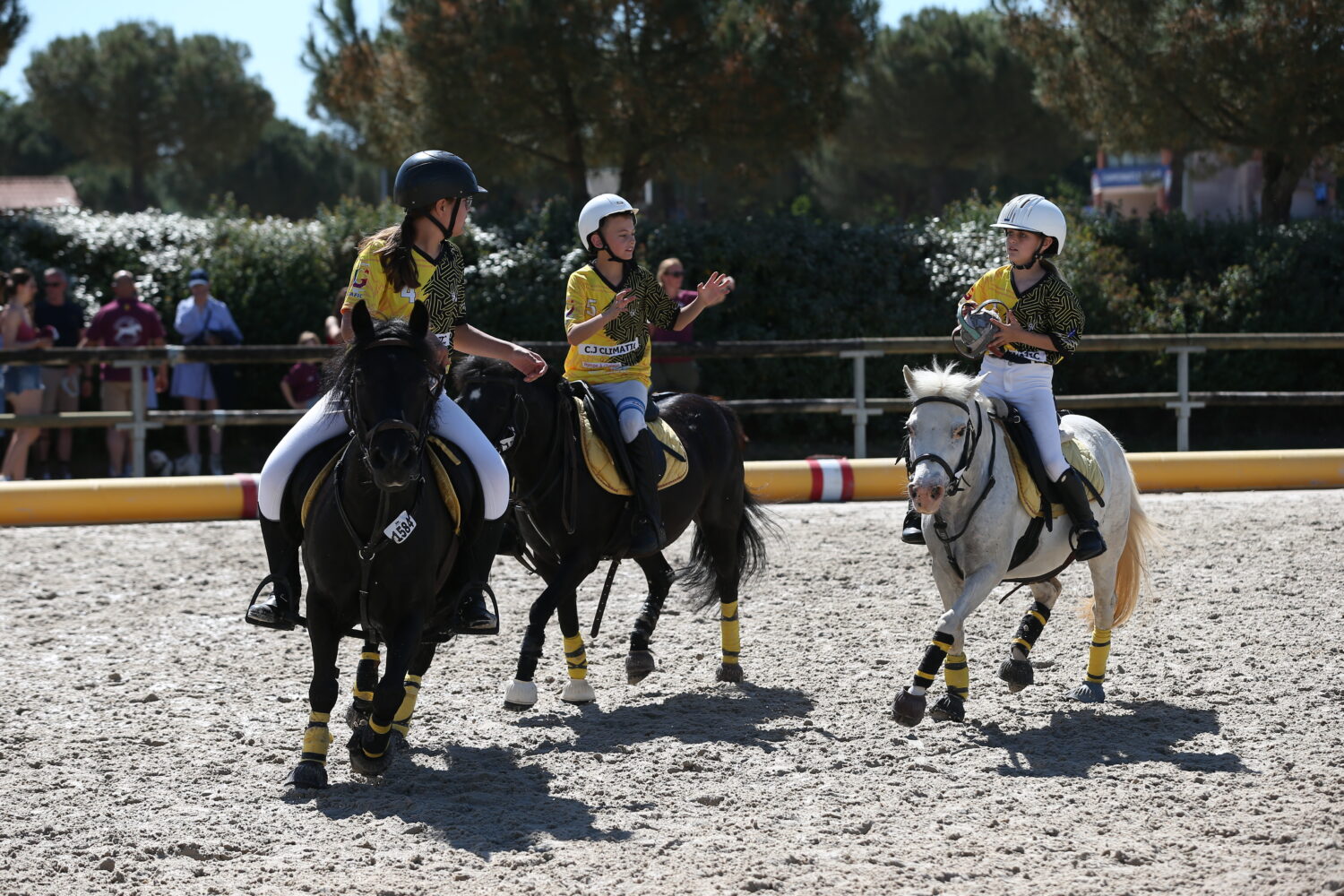 J-2 avant le Grand Tournoi : Pleins feux sur les championnats de France des sports équestres collectifs