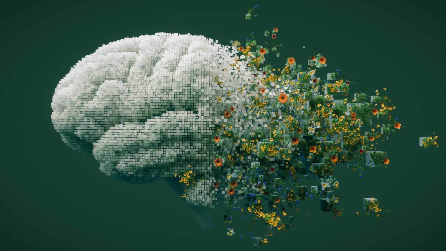 IA nature istock-jpg