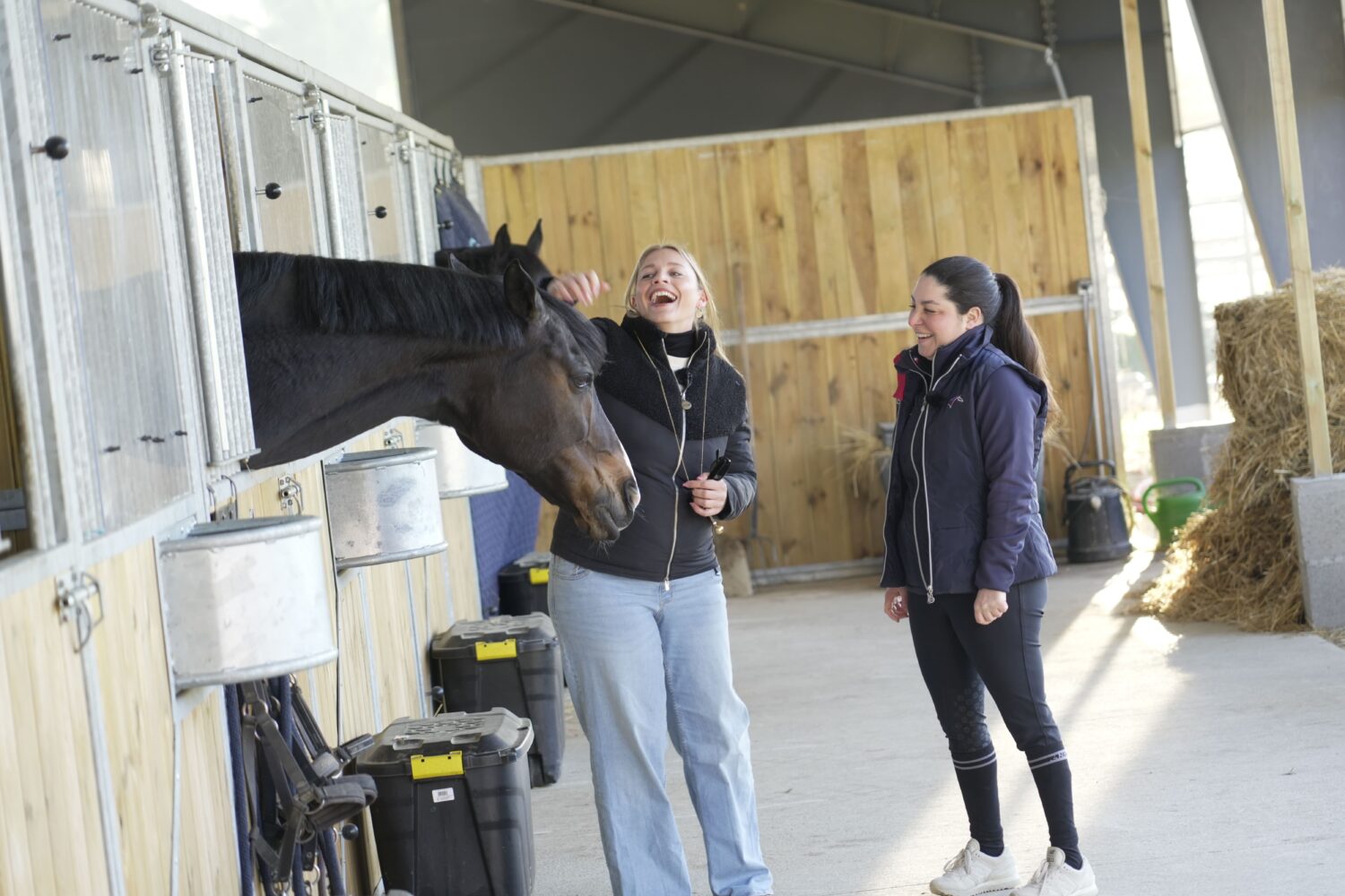 Championnats du monde 2026 : la Fédération Française d'Équitation lance une campagne forte et originale pour rapprocher les athlètes du grand public