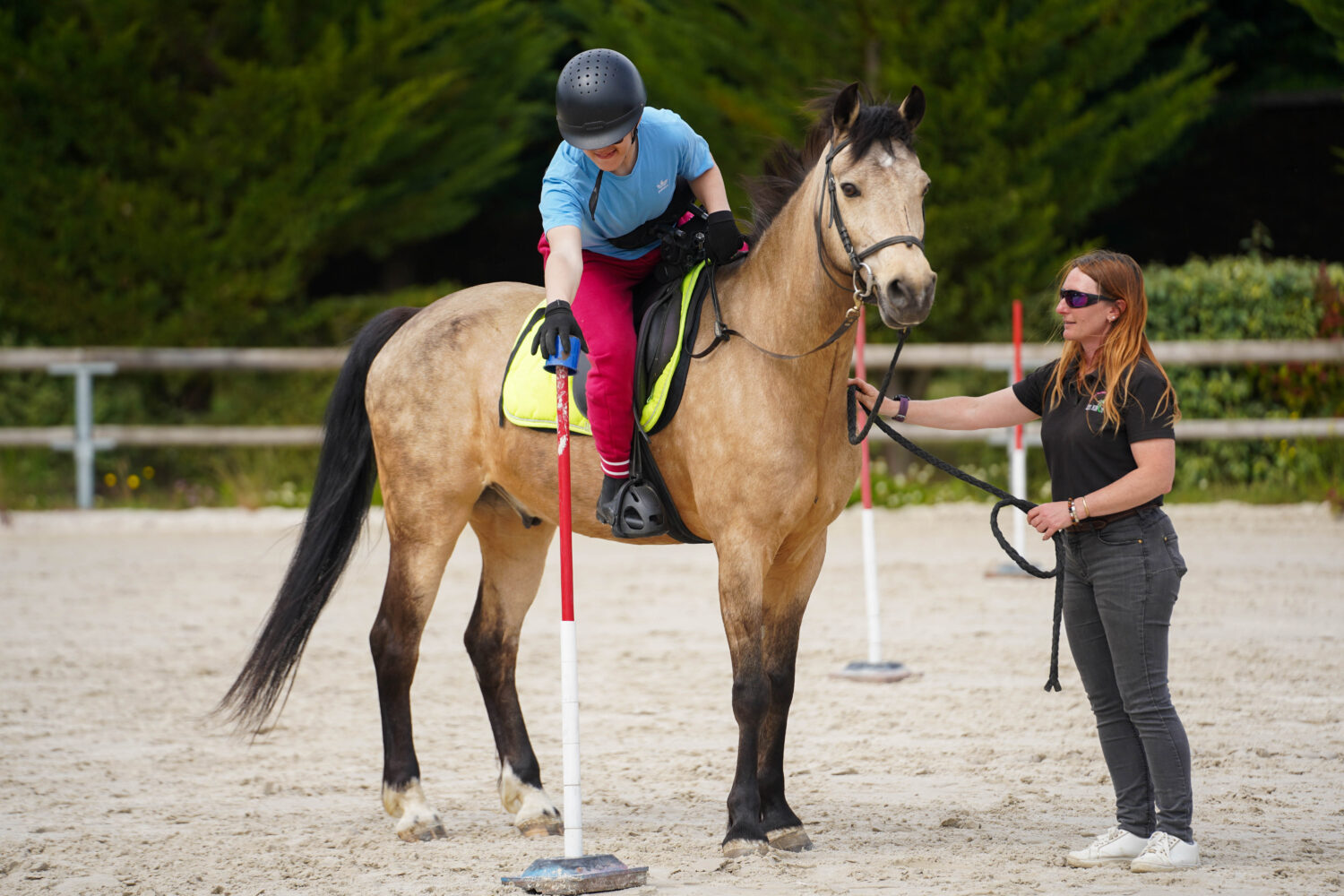 La Fédération Française d'Équitation obtient la délégation de l’État pour l’organisation de la para-équitation adaptée