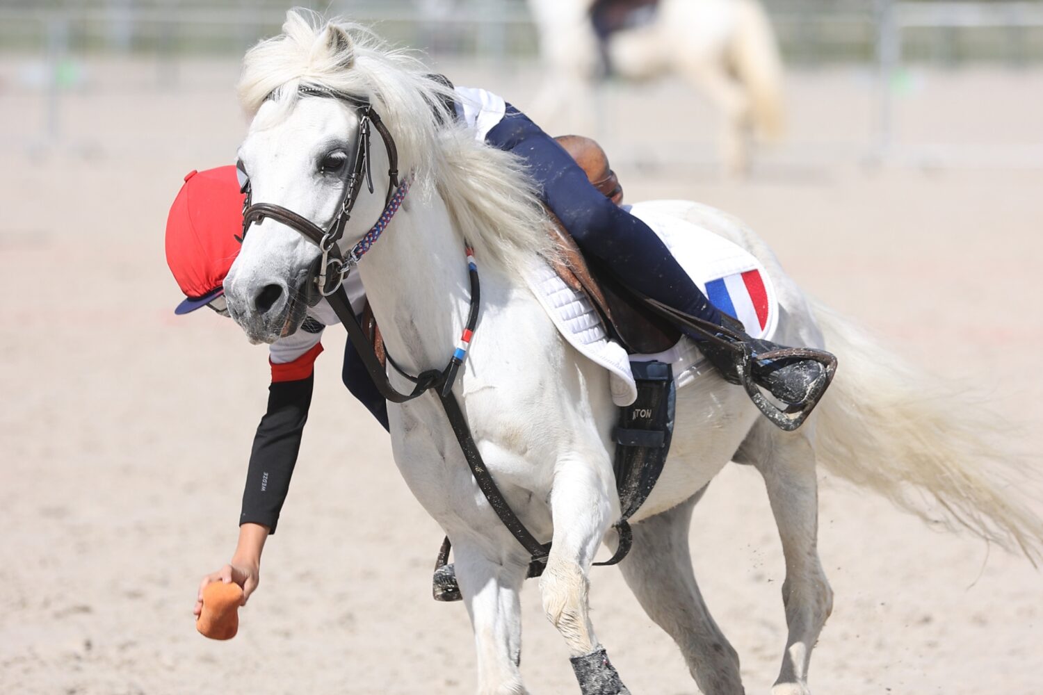 cp2-les-francais-a-la-conquete-de-l-or-en-pony-games-et-horse-ballffe-psv-jpg
