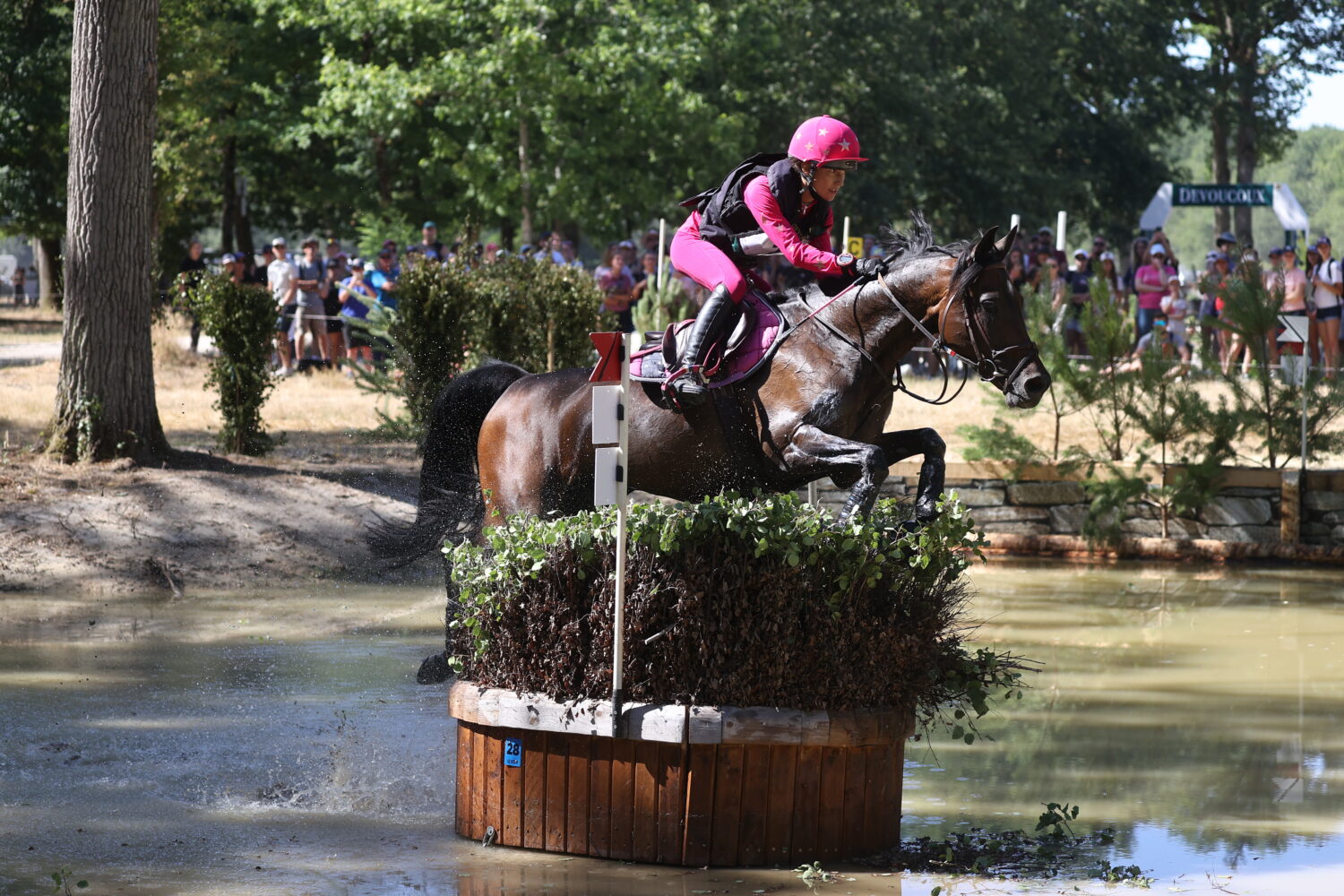 as-poney-elite-concours-complet-2026-loeva-schwartz-dosse-jpg