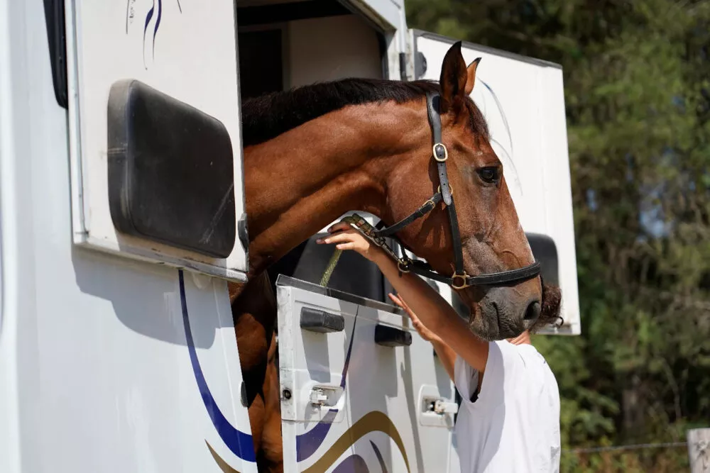 La Fédération Française d'Équitation et les Pompiers13 unissent leurs forces pour mieux protéger les équidés en situation de crise