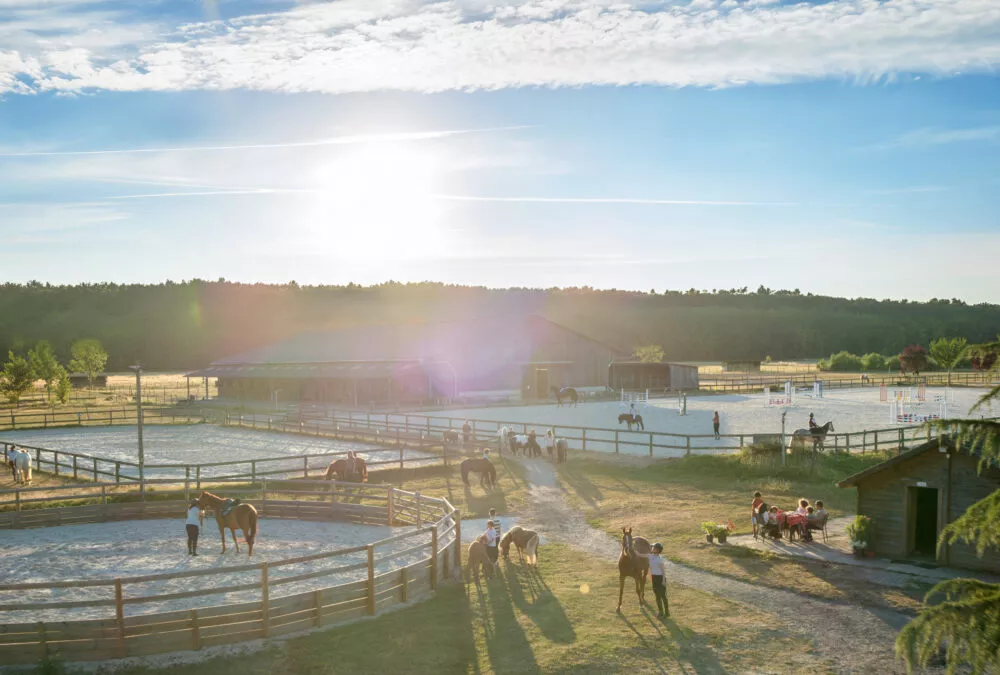 Journées du cheval : neuf jours pour découvrir l’équitation