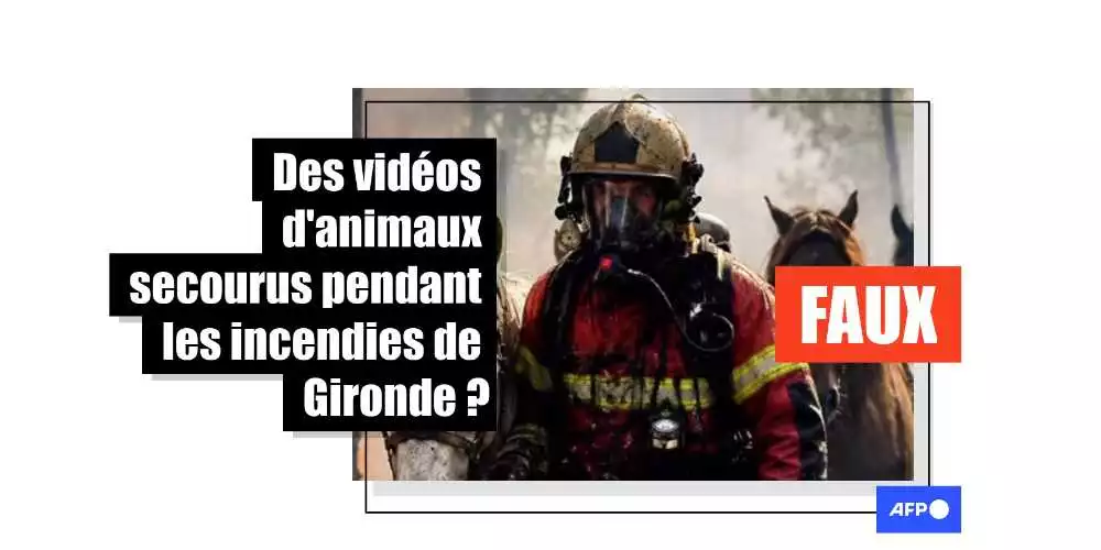 [FACT CHECK] Après les incendies dans le Sud-Ouest de la France, les réseaux saturés d'images générées par IA