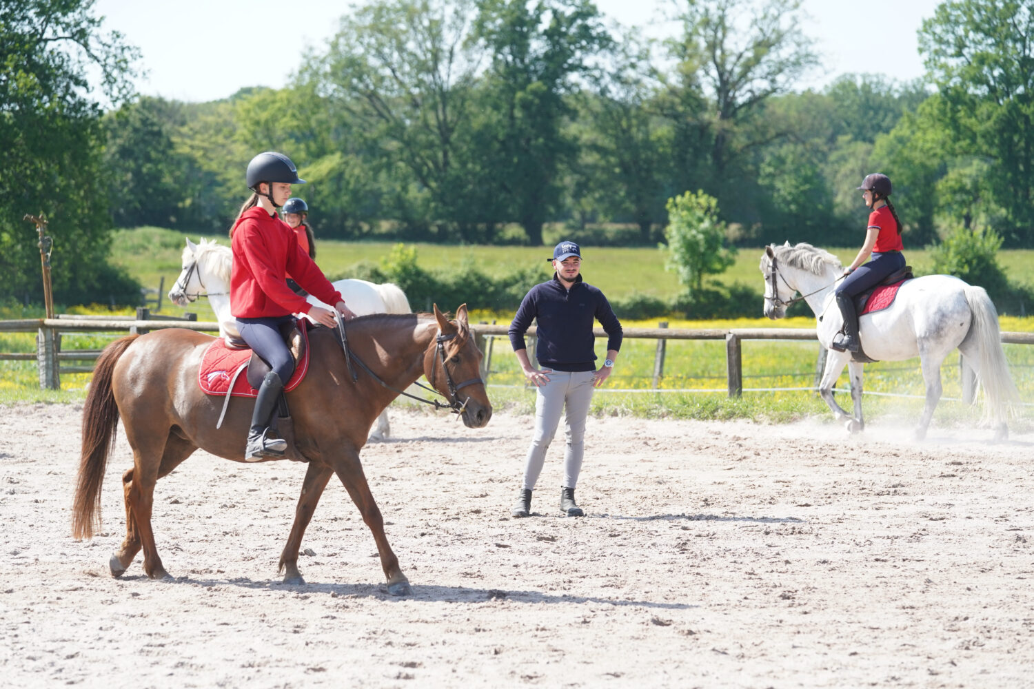 enseignant-equitation-seance-equitation-ffe-psv-nhodys-jpg