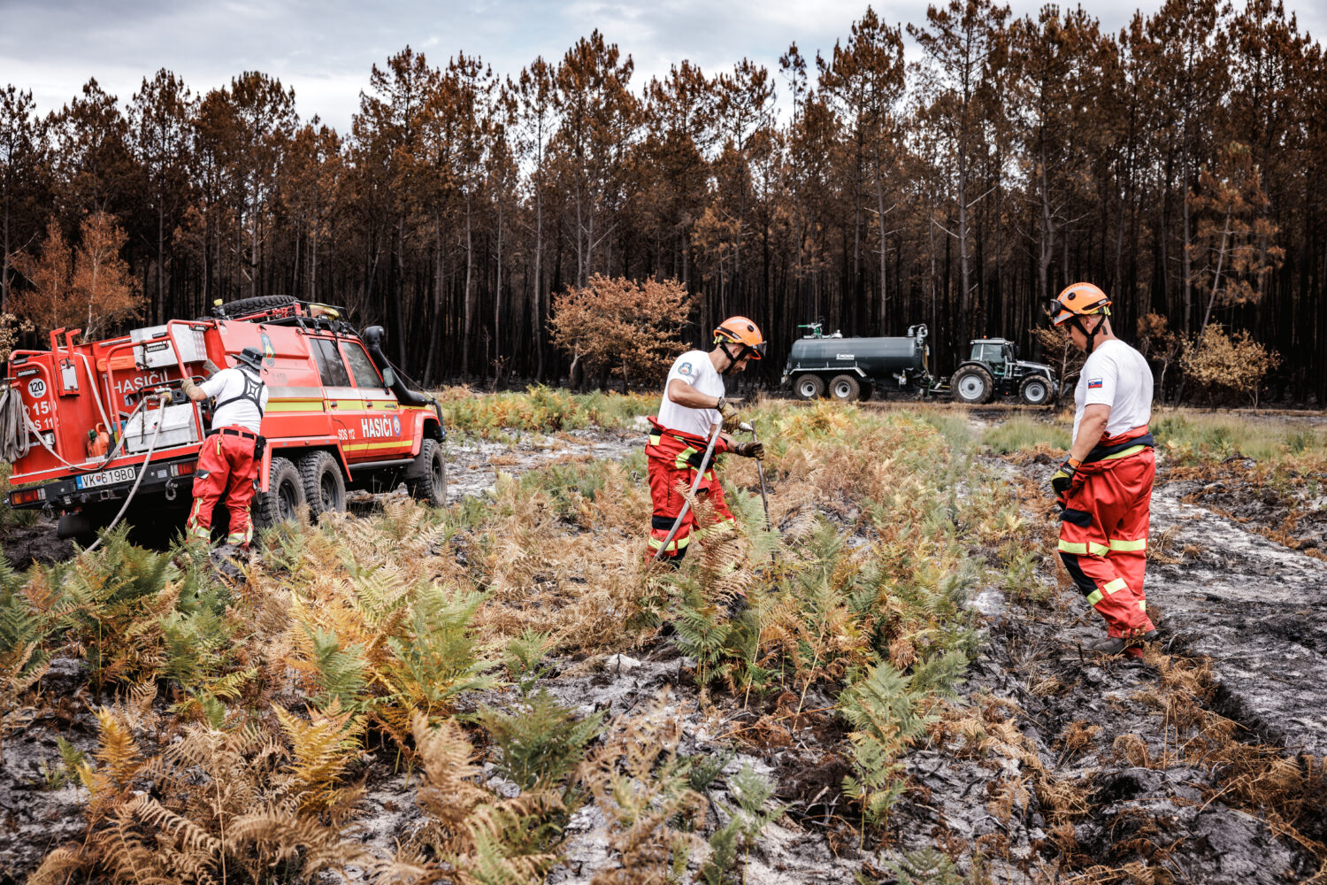 Solidarité canicule, incendies : un mois après, 9 millions d’euros collectés et 25 actions déjà engagées pour venir en aide aux populations sinistrées
