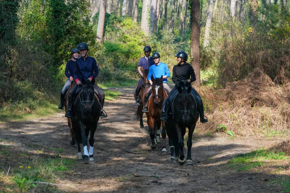 Vacances de la Toussaint : l’équitation, la pause qui fait du bien après le rush de la rentrée