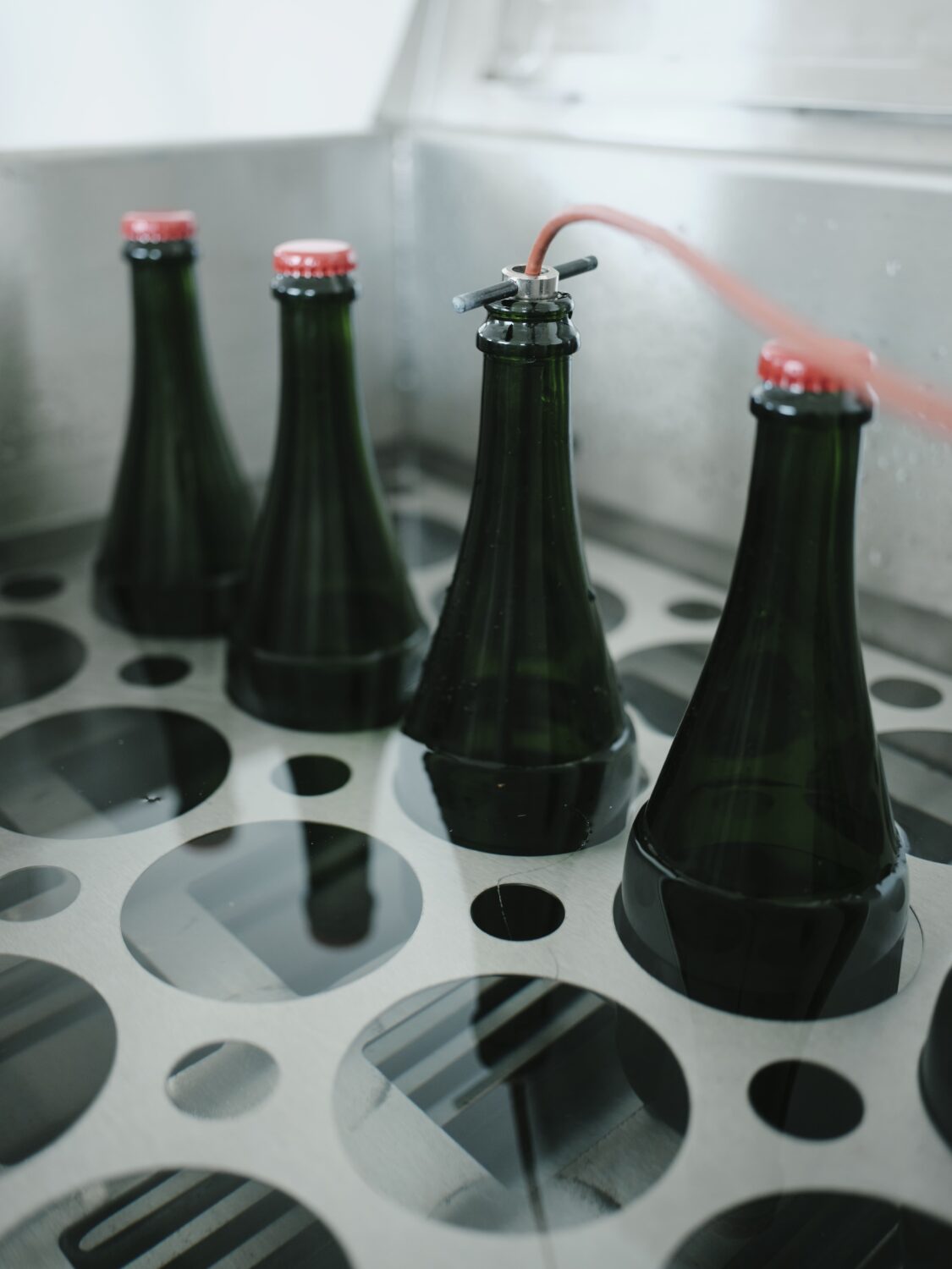 RDMoetChandon354-jpg